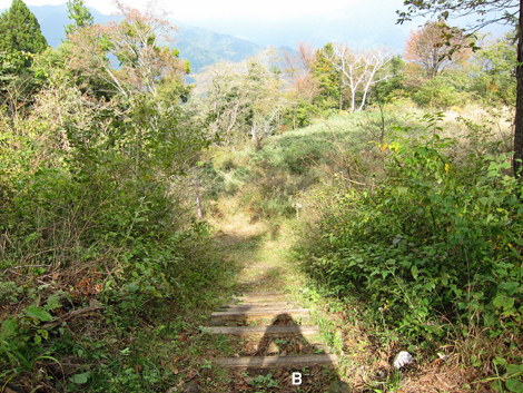 20191031hike (172)